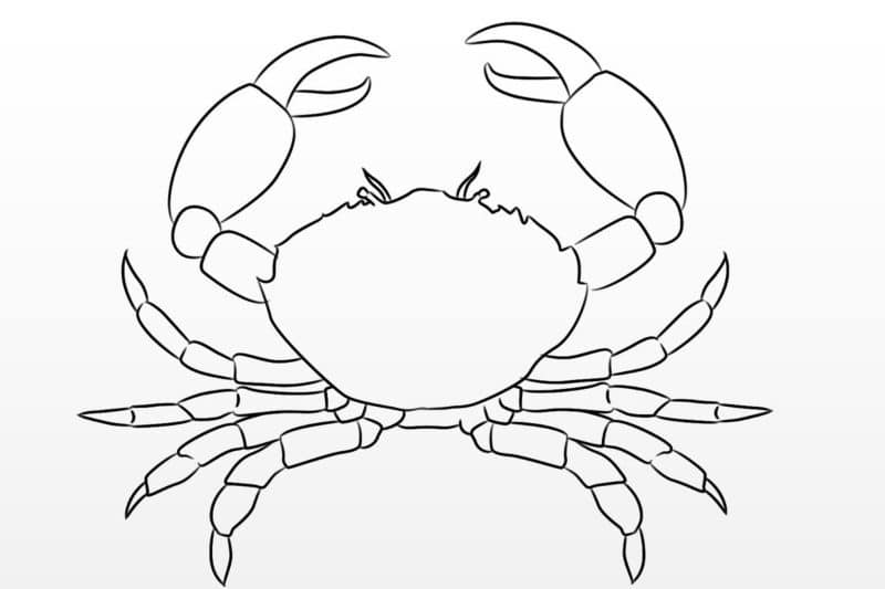 Crabe